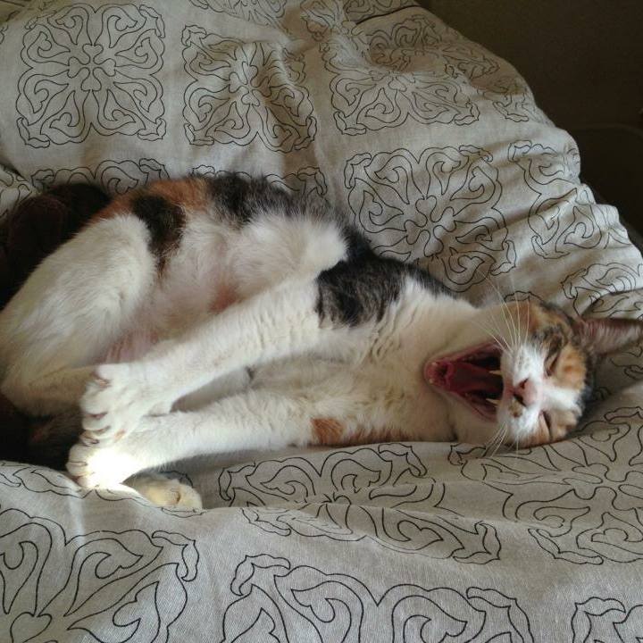 8214c3be 0650 4980 8cba 06022f687523