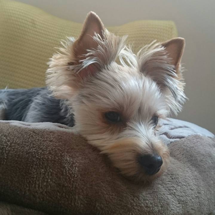 8215090e 489d 4f51 ae14 7ba3a863d19a