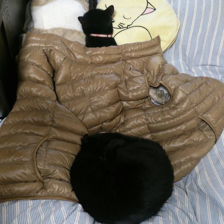 8215264e cdd2 492c 90e9 909caf6adcc1