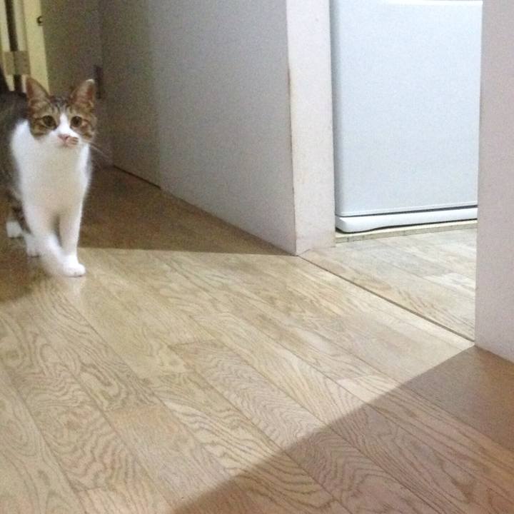 82154800 4241 4f77 9ed9 01e3dd910a75