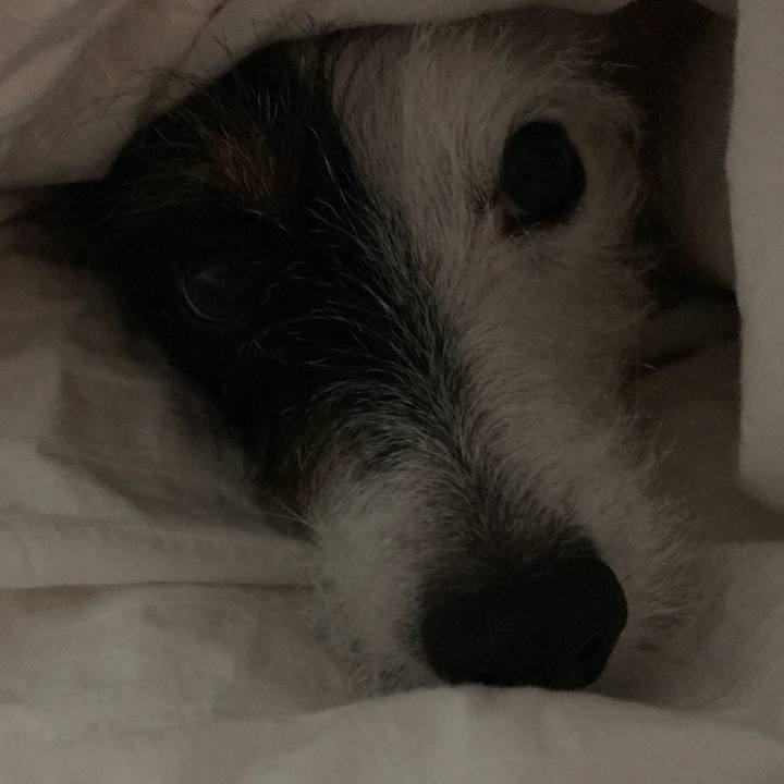 8215868d 7ae6 468c bc07 a9c41c7242a3