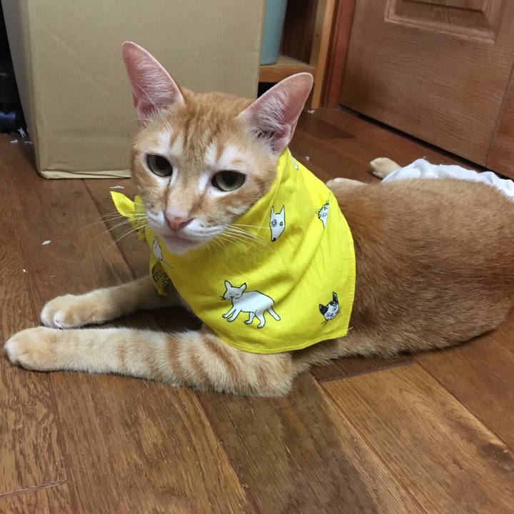 82159a58 8f15 4586 943b efa5e32cae4b