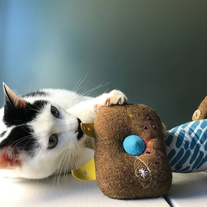 8215e615 38e4 48e6 88c2 bc830ea480a2