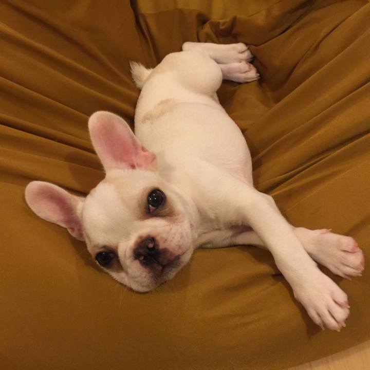 82160b34 e12d 450e 9fc8 f0f9ad4ae745