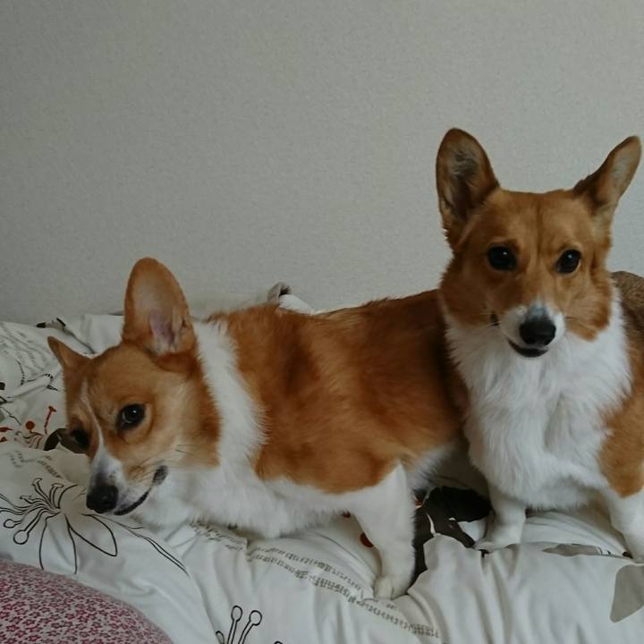 8216de13 b8f0 4b86 a88f c22d44d2c3ad