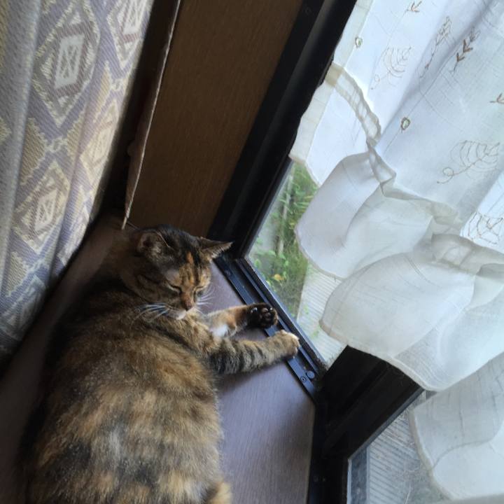 8217a048 c1e1 4b94 98c3 d99041a2f333