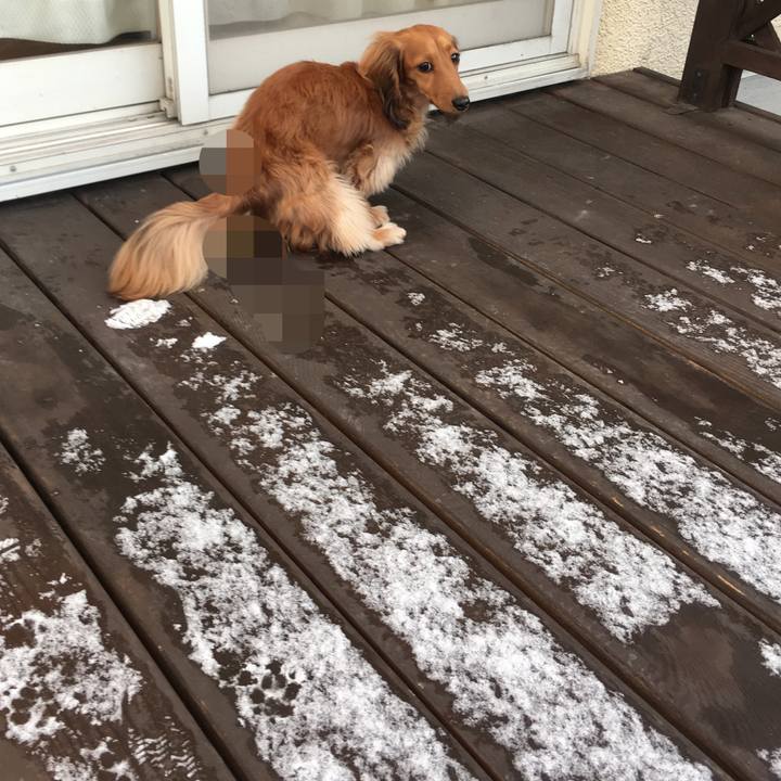 82182b07 b550 4add 9bbb 40b3fd3851d4