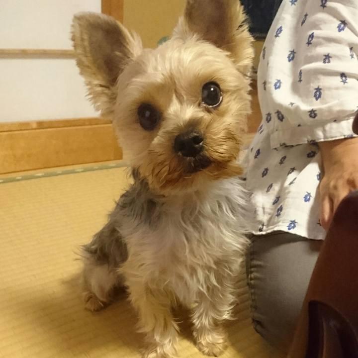 82188375 11e3 4f20 820f 63578759d064