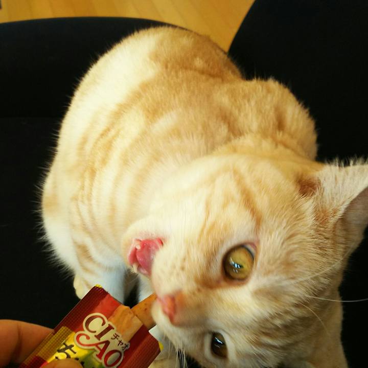 82191938 9c87 494f 9a75 89910efa49ea