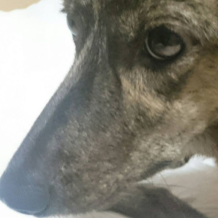 8219324e f898 48ab b3d7 7098c01cebe5