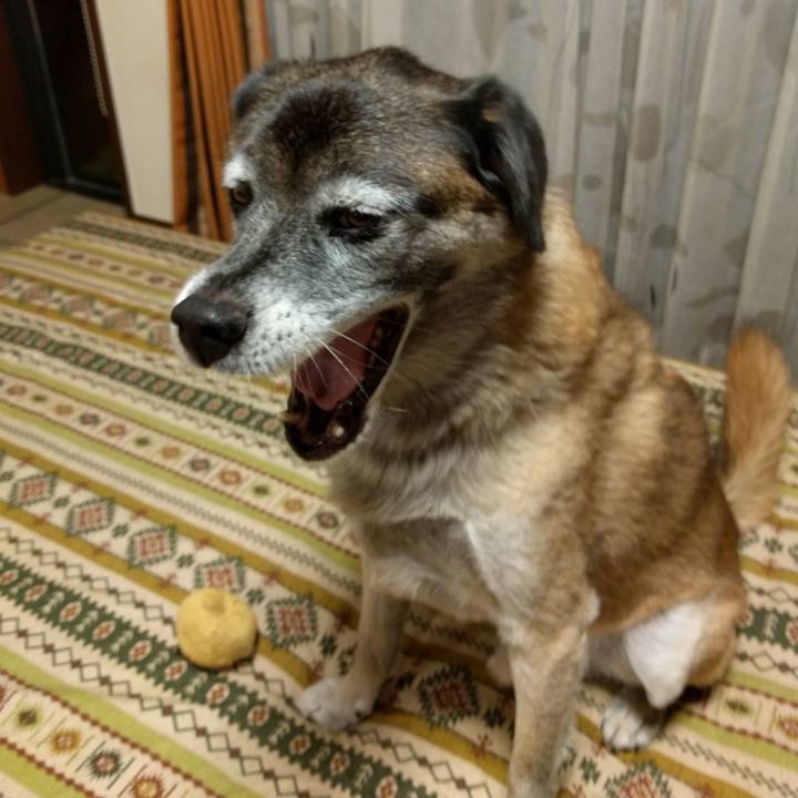 82193ffd d15b 4532 b12e 2f6b755413dd