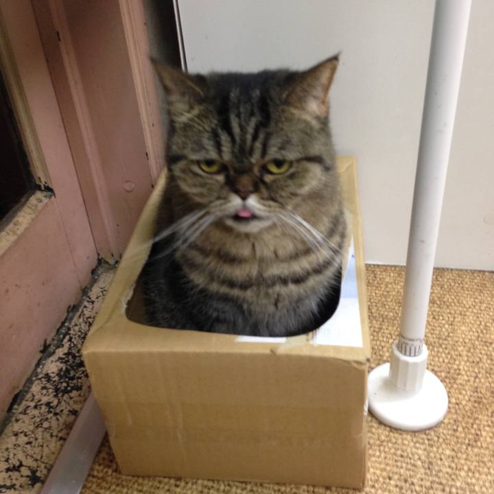 82196f10 d26b 4e01 9cf7 2c7b4ae9186e