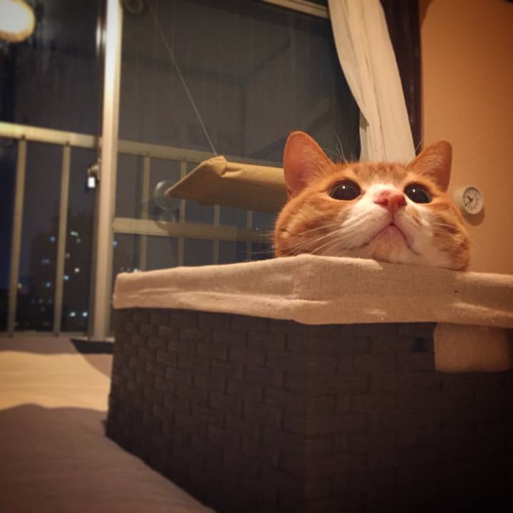 82197986 d793 4609 b096 9378b6c23454