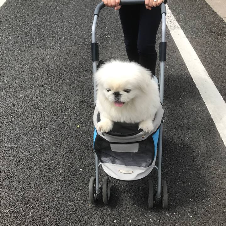 821a47e0 786b 4e49 8341 abf34903bd32