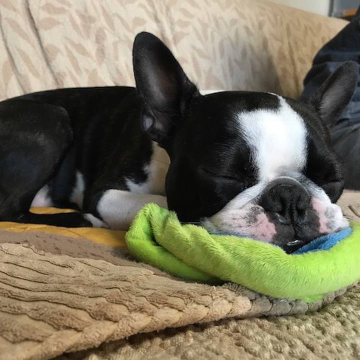 821a537c 19a0 4a24 b889 9ad74bcec86c