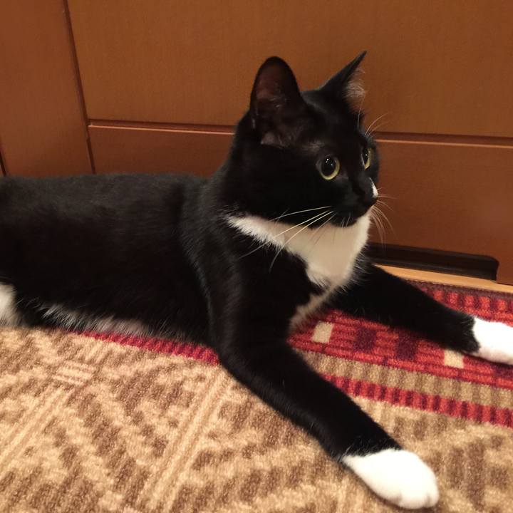 821a58f9 a985 42f7 a5dc b84d3a7459c1