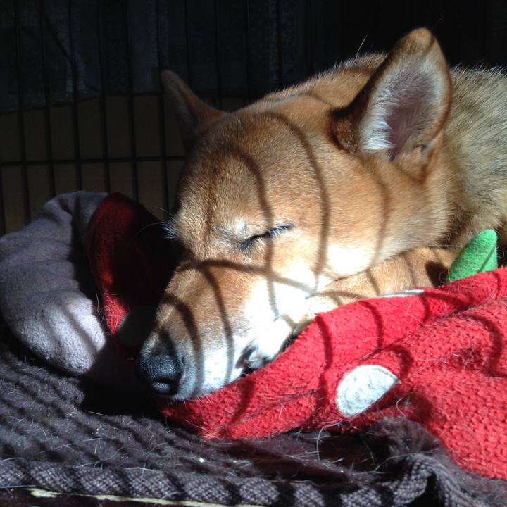 821aea08 da08 464b b48f 86ecc4f65092