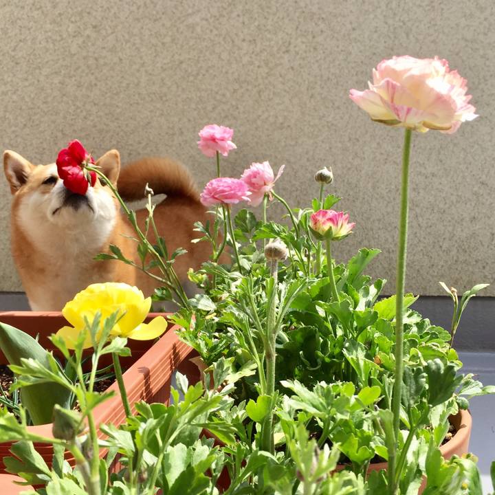 821b0134 77d8 4c84 83a4 ce0a915f4ba9