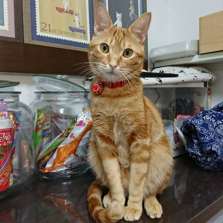 821b56f4 2c7b 498c a0c9 c2bc8b6a2572