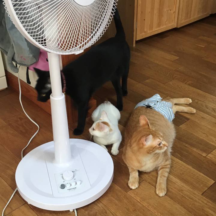 821bc01b 3736 4f23 9566 9652d11bd9c9