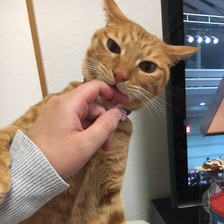 821c3791 3479 4595 8ba7 4c66fd2f0416