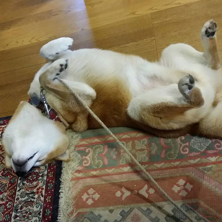 821cb74c 9415 4554 8cb7 4dff58f101b9