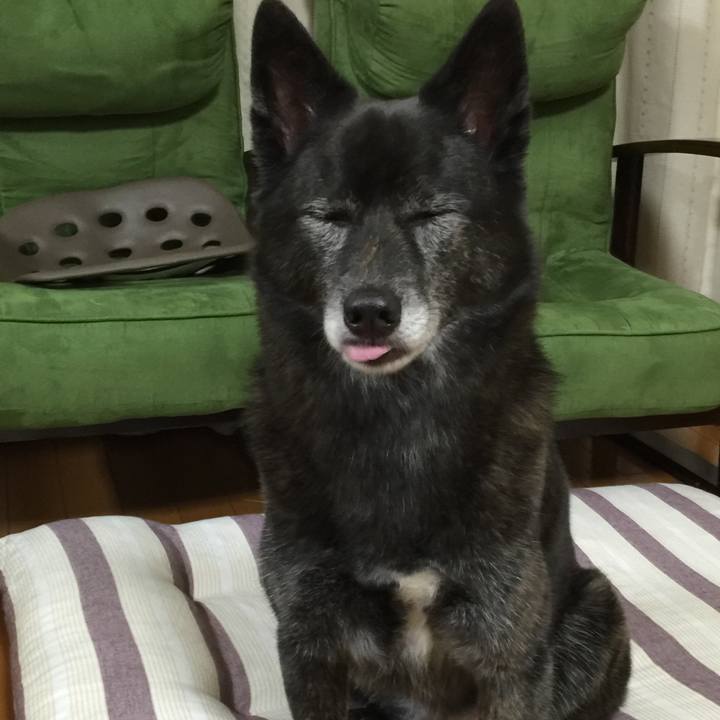 821d260e c9bc 464e 9929 59063ee74b71