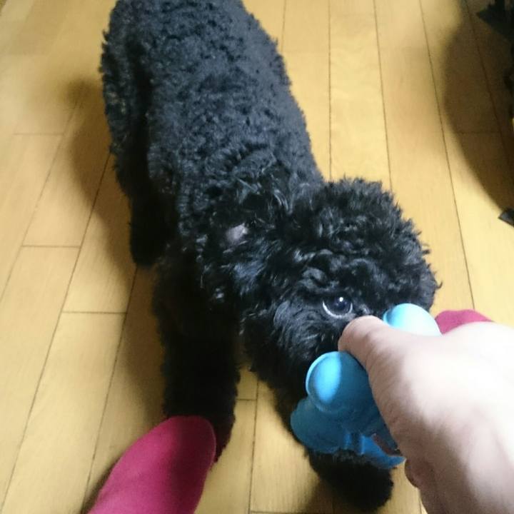 821d535e 23f6 4c4d 8b72 7f2f3d65e7c1