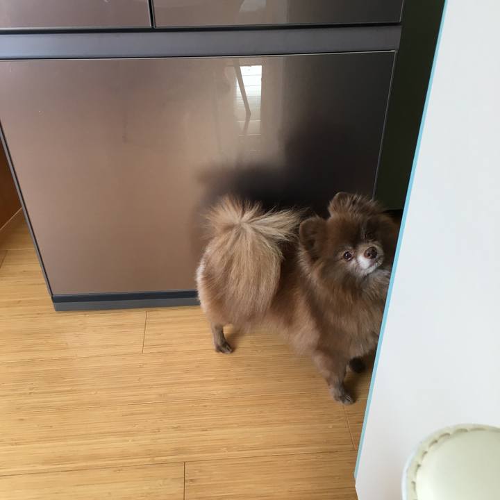 821d68cc baa8 407c b184 7fcc4eba8238