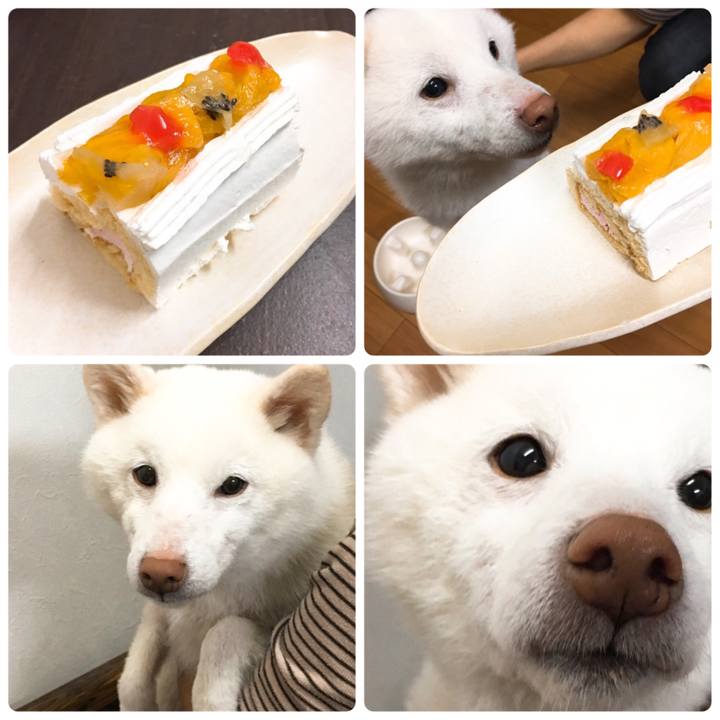 821d7698 0550 4a1c 8b4c 4fd60a9dcae9