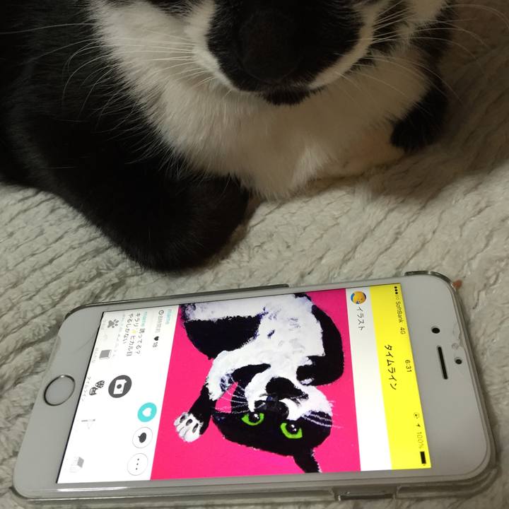 821e56e0 8988 4d09 8c9e 591e94295a24