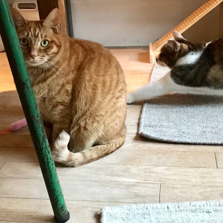 821eea98 9ee7 4d29 a851 5d8dcc154297