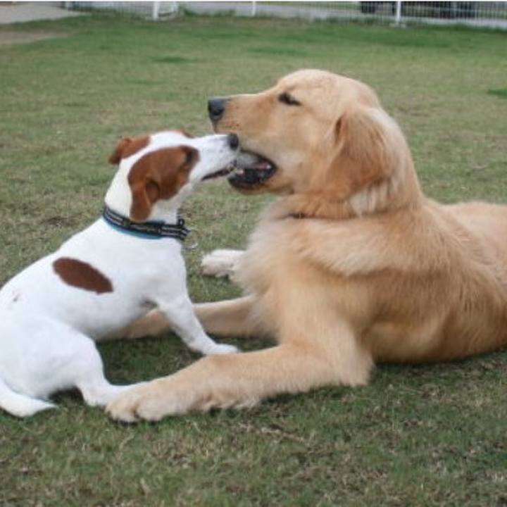 821eeb76 5d18 4655 a568 eb9ff6c2cbf0