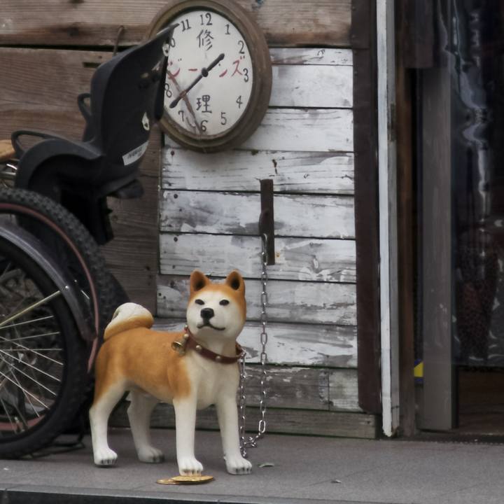 821fb2b4 639c 4d8a b3bc 4bd5b458d80e