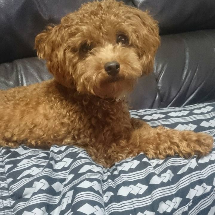 821fb737 41fe 4e50 a05d d14450e1b286