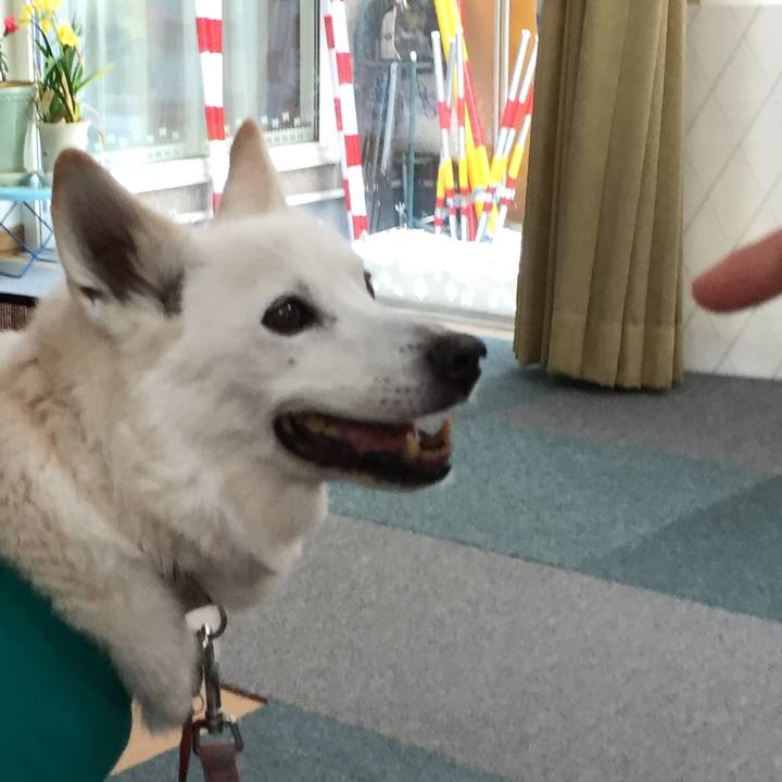 82202df7 5ec5 4389 98d6 c7370aad1a50