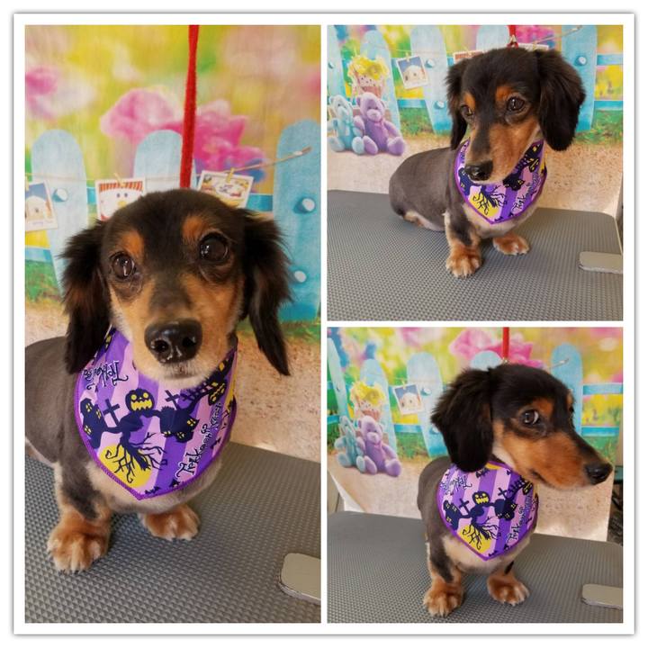 8220fd7d 7215 473f b320 fa02577d1acf