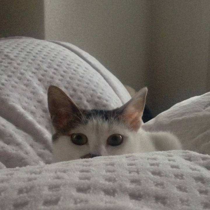 82210c07 450b 409c 937a bb2e0a265a7b