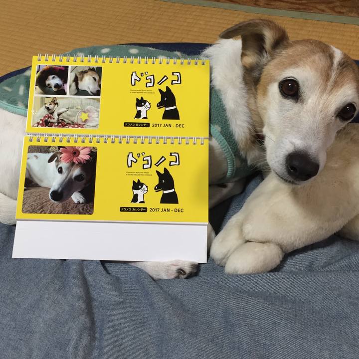 82212612 15e8 46ac abea 61bf6e3d59fc