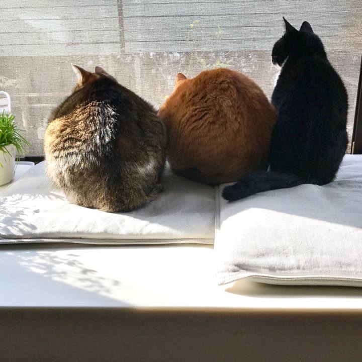 82218839 734c 45cc 8eb5 12281e28dc2c