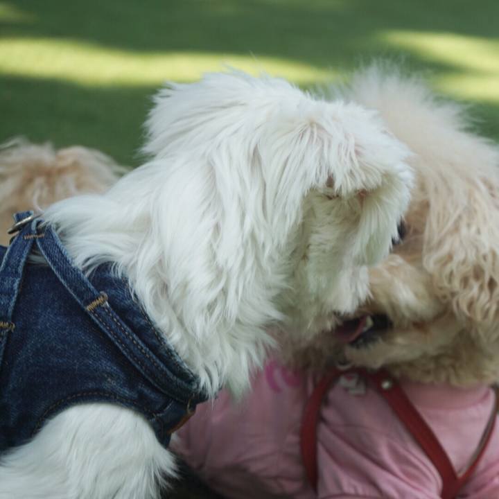 8221cd91 1033 4be7 bb93 814a8e757143