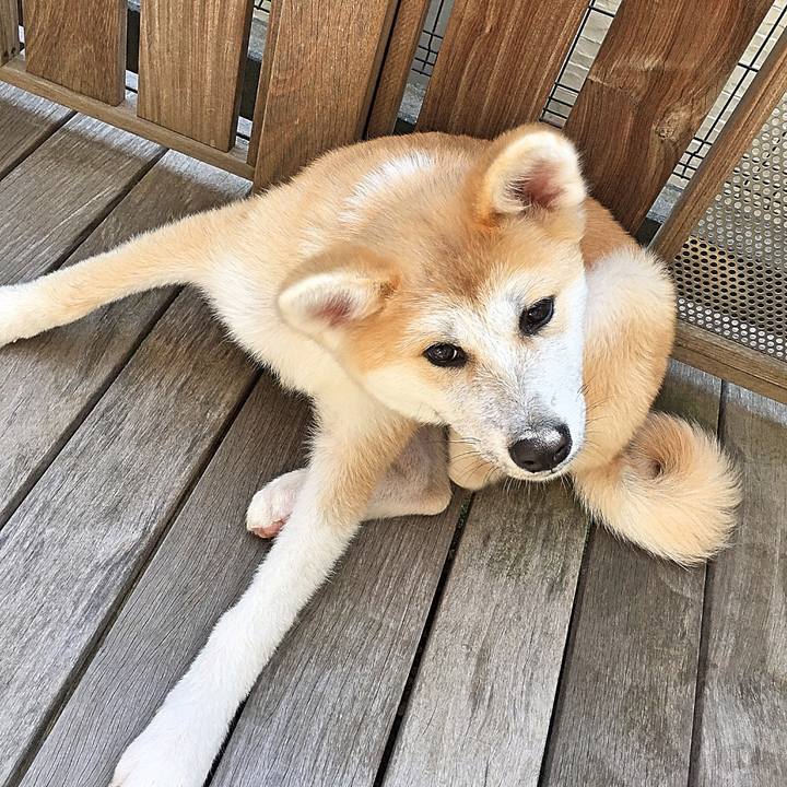 82229d33 9891 4f06 b2ff 43d619c08fca