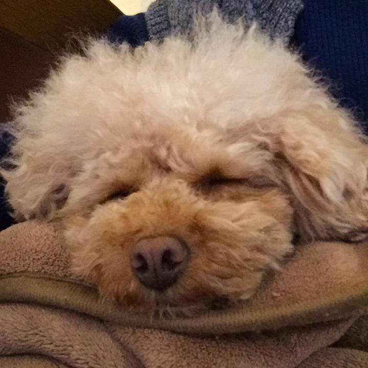 8222ade0 6790 4248 8d86 ea4a7283f14a