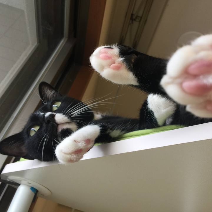 82233c54 eede 478f a8c2 1f1aa96df69e