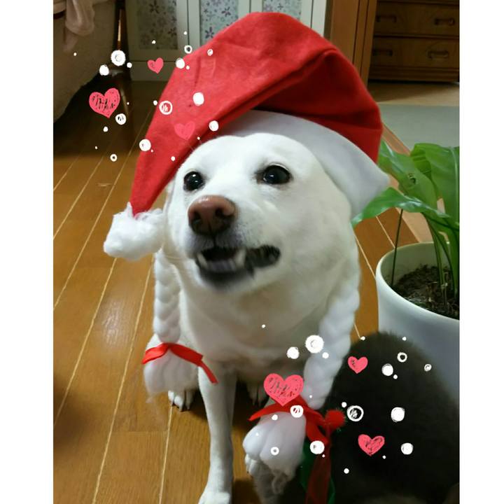 822356b4 d73a 49d8 8962 c8abdca1c264