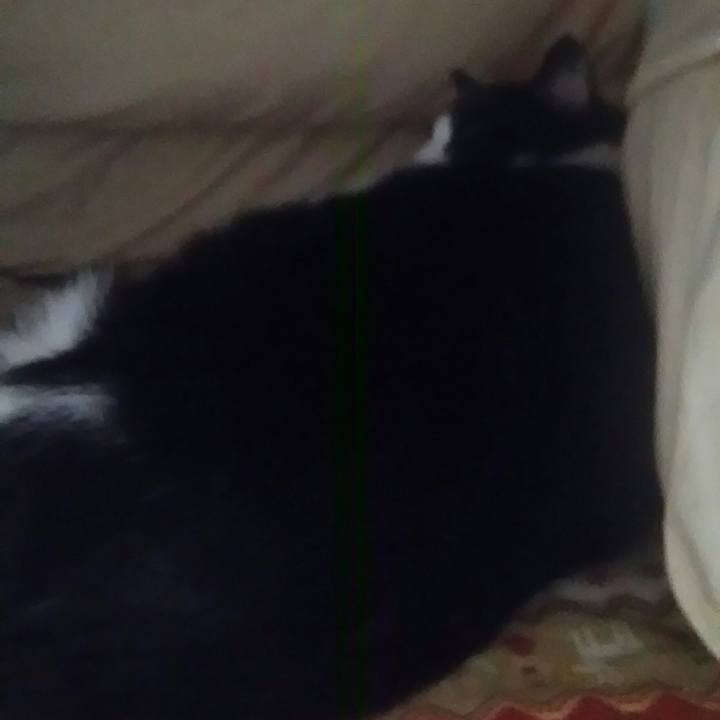 82236760 6c50 47dc a7cb ddedc62619c9