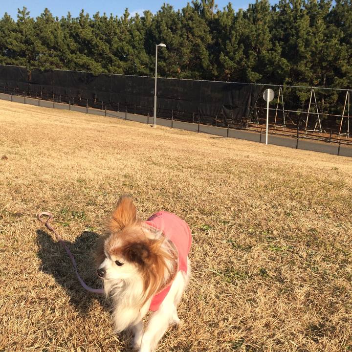 8223750e c414 4f79 a4b6 027f4f4643c9