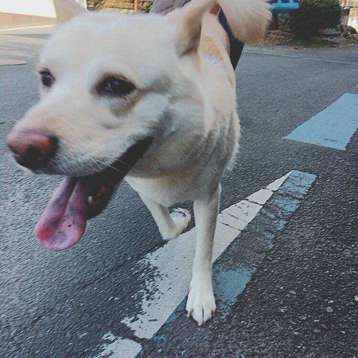 822398db 0308 4582 9ed1 9391dd377e73