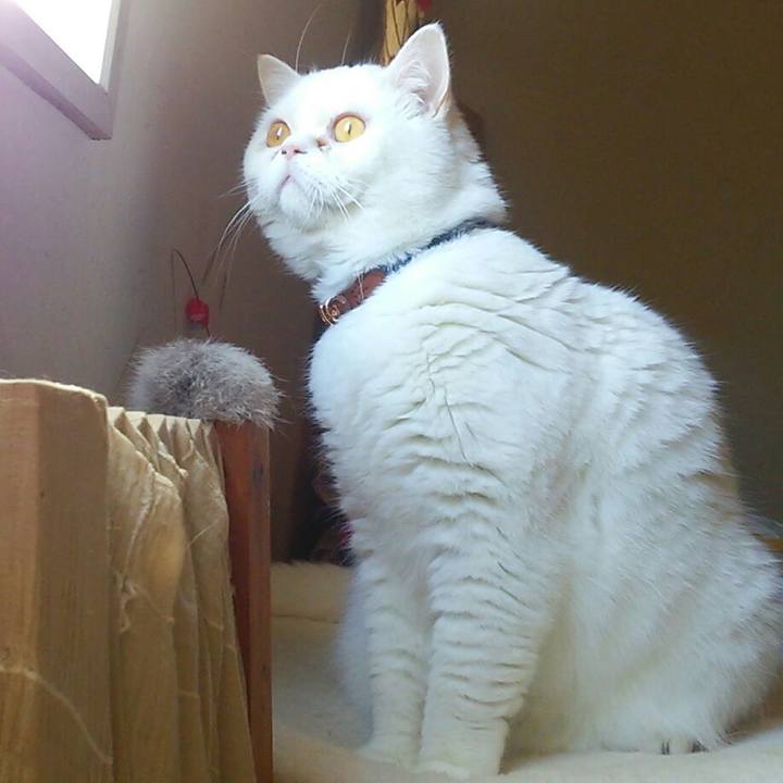 8224545d 6a58 4fda 9c12 76cde6326057