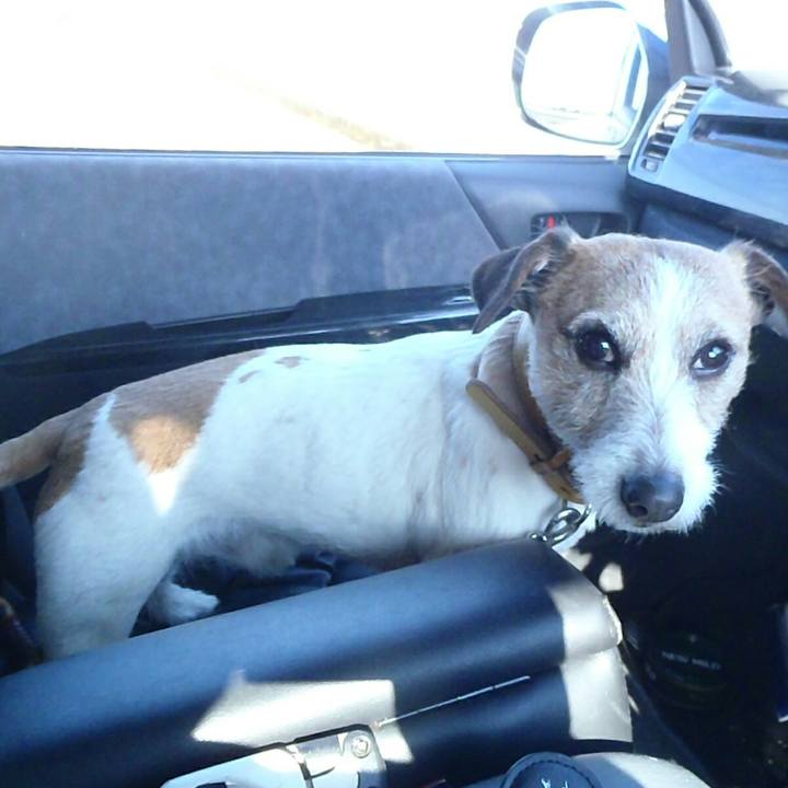 82245fc1 83a5 4563 ba3d 29b057424fd8